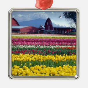 Adorno Metálico Campo de exhibición de tulipanes