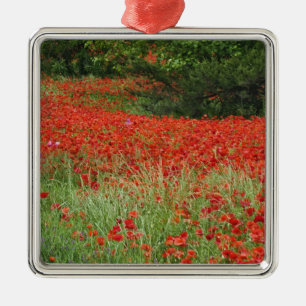 Adorno Metálico Campo de flores híbridas de amapola plantadas a l
