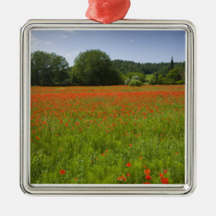Adorno Metálico Campo de la amapola, Chiusi, Italia