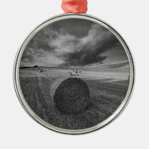 Adorno Metálico Campo de la cebada de B&W