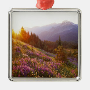 Adorno Metálico Campo de las montañas lúpino y olímpica en