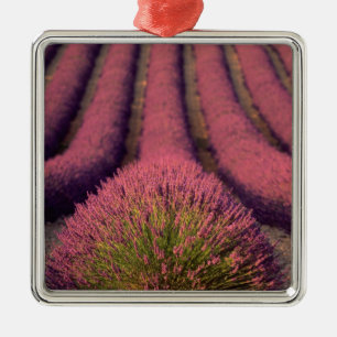 Adorno Metálico Campo de lavanda en Alta Provenza, Francia 2