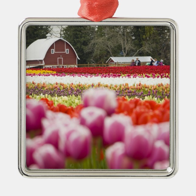 Adorno Metálico Campos de tulipán del monte Vernon, condado de Ska (Frente)