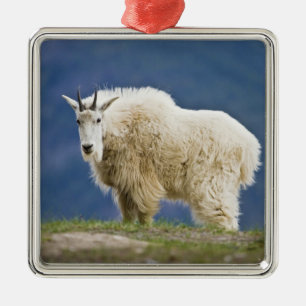 Adorno Metálico Canadá, Alberta, Parque Nacional Jasper,