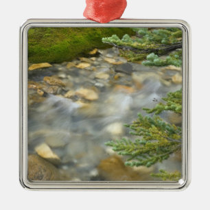 Adorno Metálico Canadá, Columbia Británica, Parque Nacional Yoho.4