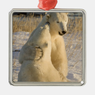 Adorno Metálico Canadá, Manitoba, Bahía Hudson, Churchill.