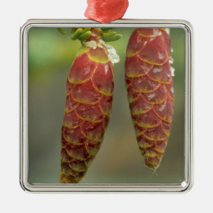 Adorno Metálico Canadá, Yukón, conos de prurito negro