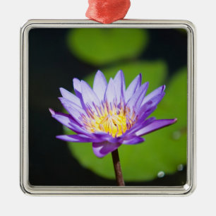 Adorno Metálico Cancún, México