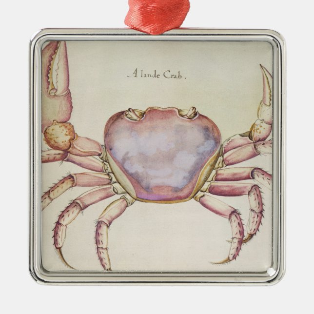 Adorno Metálico Cangrejo de tierra (Frente)
