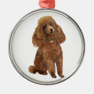 Adorno Metálico Caniche - Albaricoque