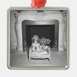 Adorno Metálico Caniches miniatura que se sientan delante de la