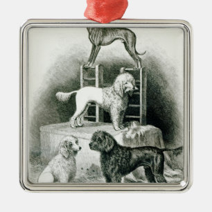Adorno Metálico Caniches y Whippet - grupo de Sr. Walton