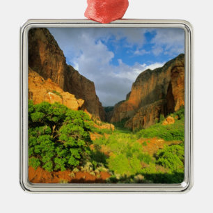 Adorno Metálico Cañón Kolob en Zion Canyon en Zion National