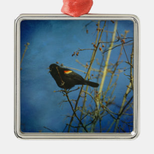 Adorno Metálico Canto de Black Bird de ala roja