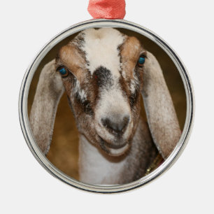 Adorno Metálico Caprina de raya blanca de cabra lechera nubia