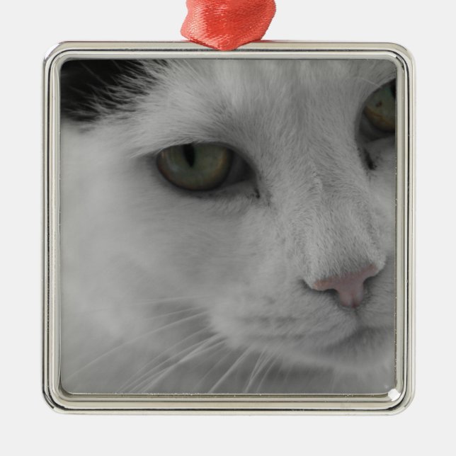 Adorno Metálico Cara de gatos negros y blancos (Frente)