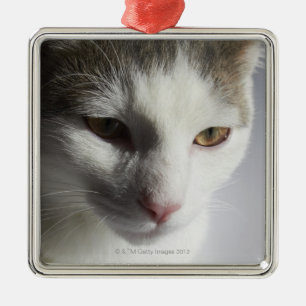 Adorno Metálico Cara de un gato