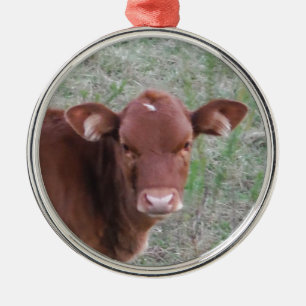 Adorno Metálico Cara de vaca marrón bebé