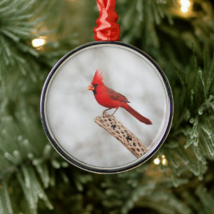 Adorno Metálico Cardenal del Norte en una rama