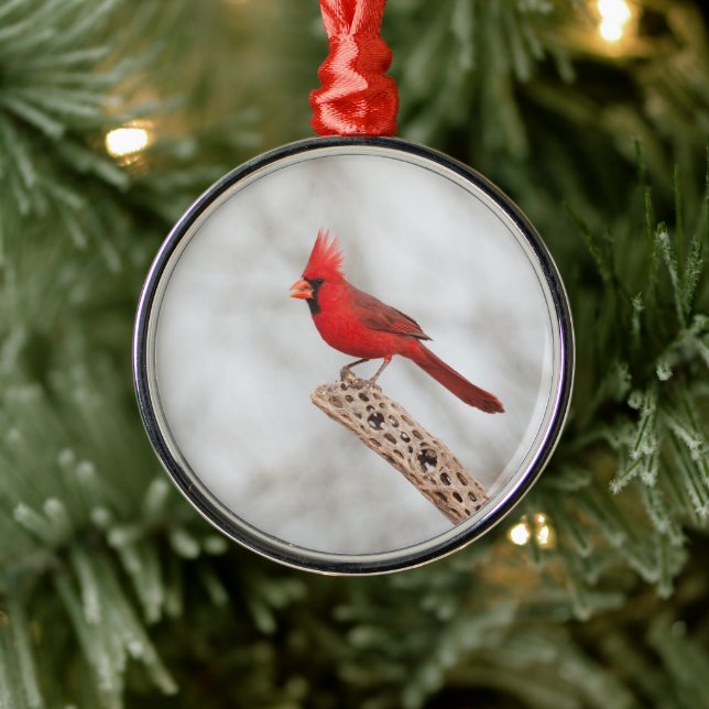 Adorno Metálico Cardenal del Norte en una rama (Árbol)