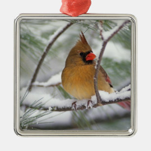 Adorno Metálico Cardenal del norte hembra en pino nevado,