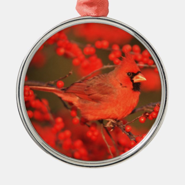 Adorno Metálico Cardenal Norte Rojo Malé, IL (Frente)