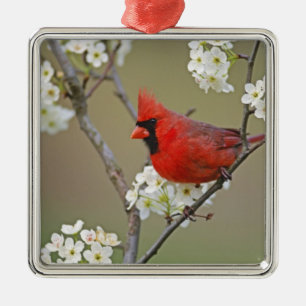 Adorno Metálico Cardenal norteño