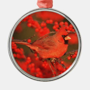 Adorno Metálico Cardenal rojo del norte macho, IL