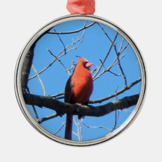 Adorno Metálico Cardinal