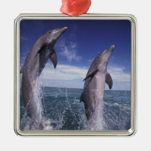 Adorno Metálico Caribe, delfines botánicos Tursiops