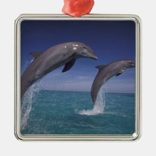 Adorno Metálico Caribe, delfines mulares Tursiops