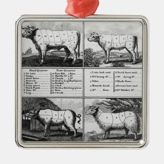 Adorno Metálico Carne de vaca, ternera, cerdo, y cortes del (Frente)