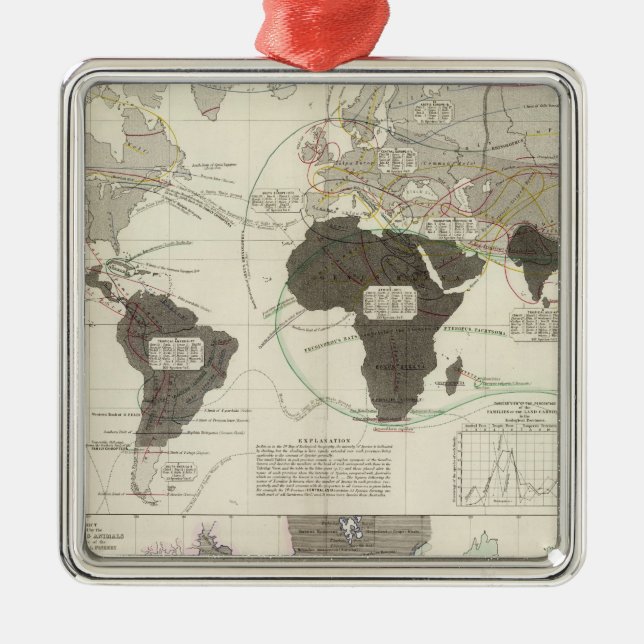 Adorno Metálico Carnívoros (Frente)