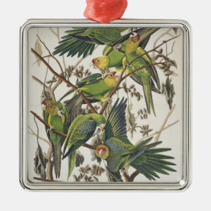 Adorno Metálico Carolina Parakeet, de 'Birds of America', 1829