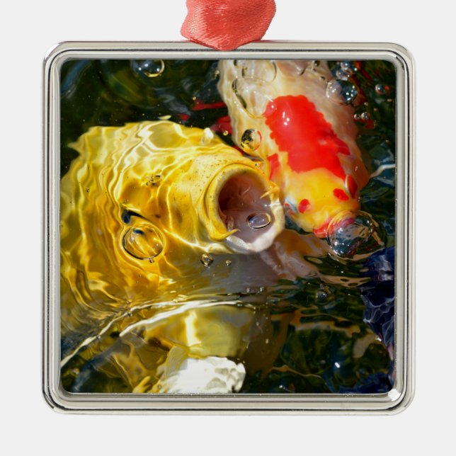 Adorno Metálico Carpa amarilla koi y pez dorado en la superficie d (Frente)