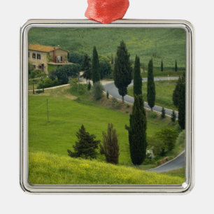 Adorno Metálico Carretera de Pienza a Montepulciano, 2