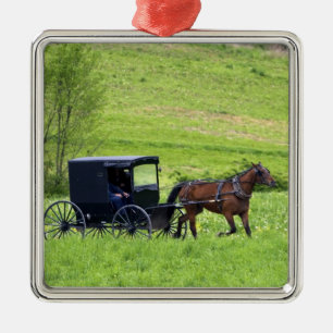 Adorno Metálico Carro y caballo Amish cerca de Berlín, Ohio.