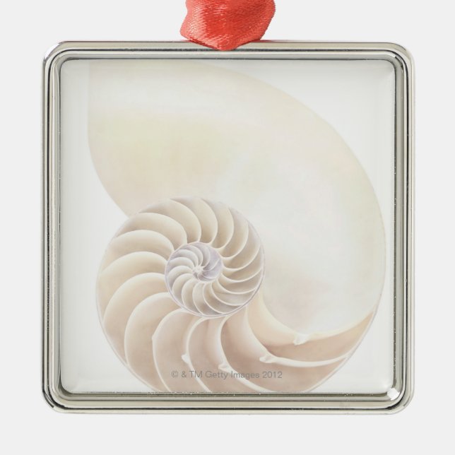 Adorno Metálico Cáscara del nautilus, primer (Frente)