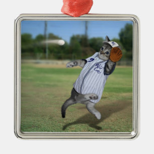 Adorno Metálico ¡Catcher de gato en el campo exterior!