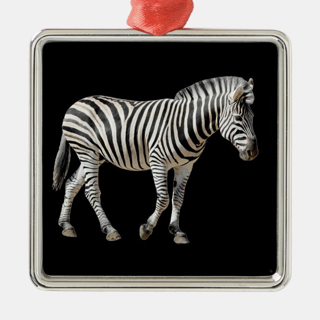 Adorno Metálico Cebra Burchell aislada (Frente)