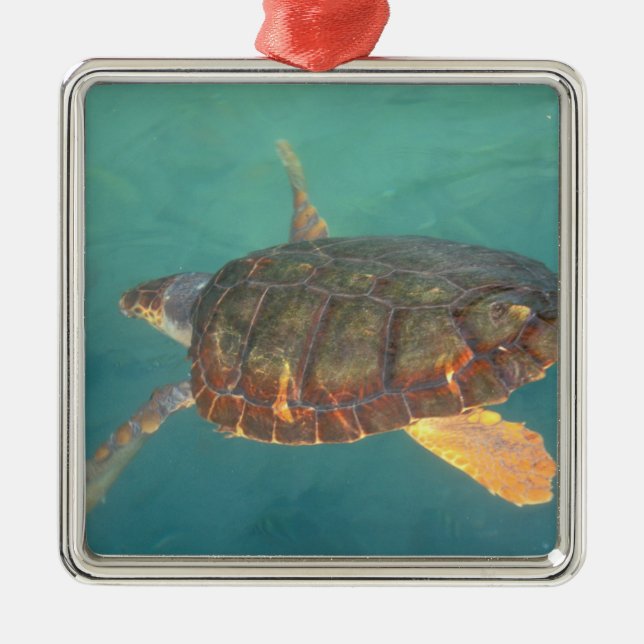 Adorno Metálico Centroamérica, Panamá, Bocas Del Torro (Frente)