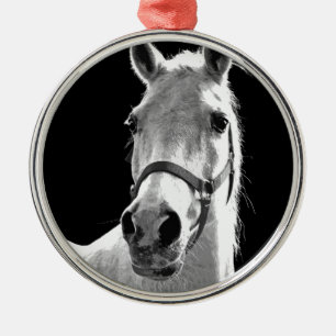 Adorno Metálico Cerco del caballo blanco negro en la noche