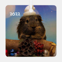 Cerdo cubano en un Sombrero