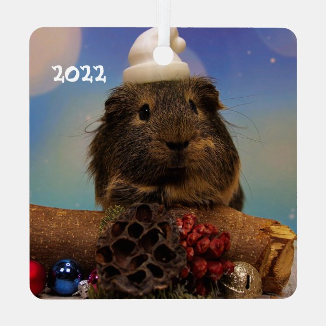 Adorno Metálico Cerdo cubano en un Sombrero (Reverso )