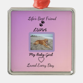 Adorno Metálico Chic Seasonal Companion Keepsake