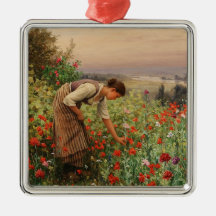 Chica Poppies (Escena Floral) (Campo Flor)
