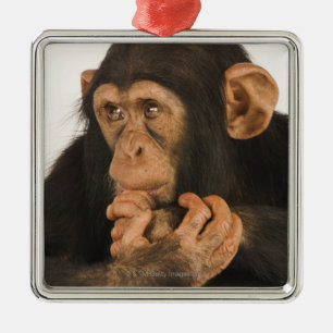 Adorno Metálico Chimpancé (trogloditas de la cacerola). Playfull