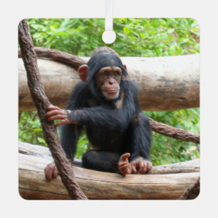 Adorno Metálico Chimpanzee 001