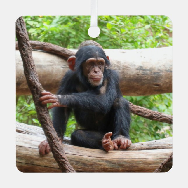 Adorno Metálico Chimpanzee 001 (Anverso)