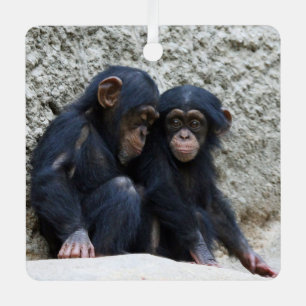 Adorno Metálico Chimpanzee 002